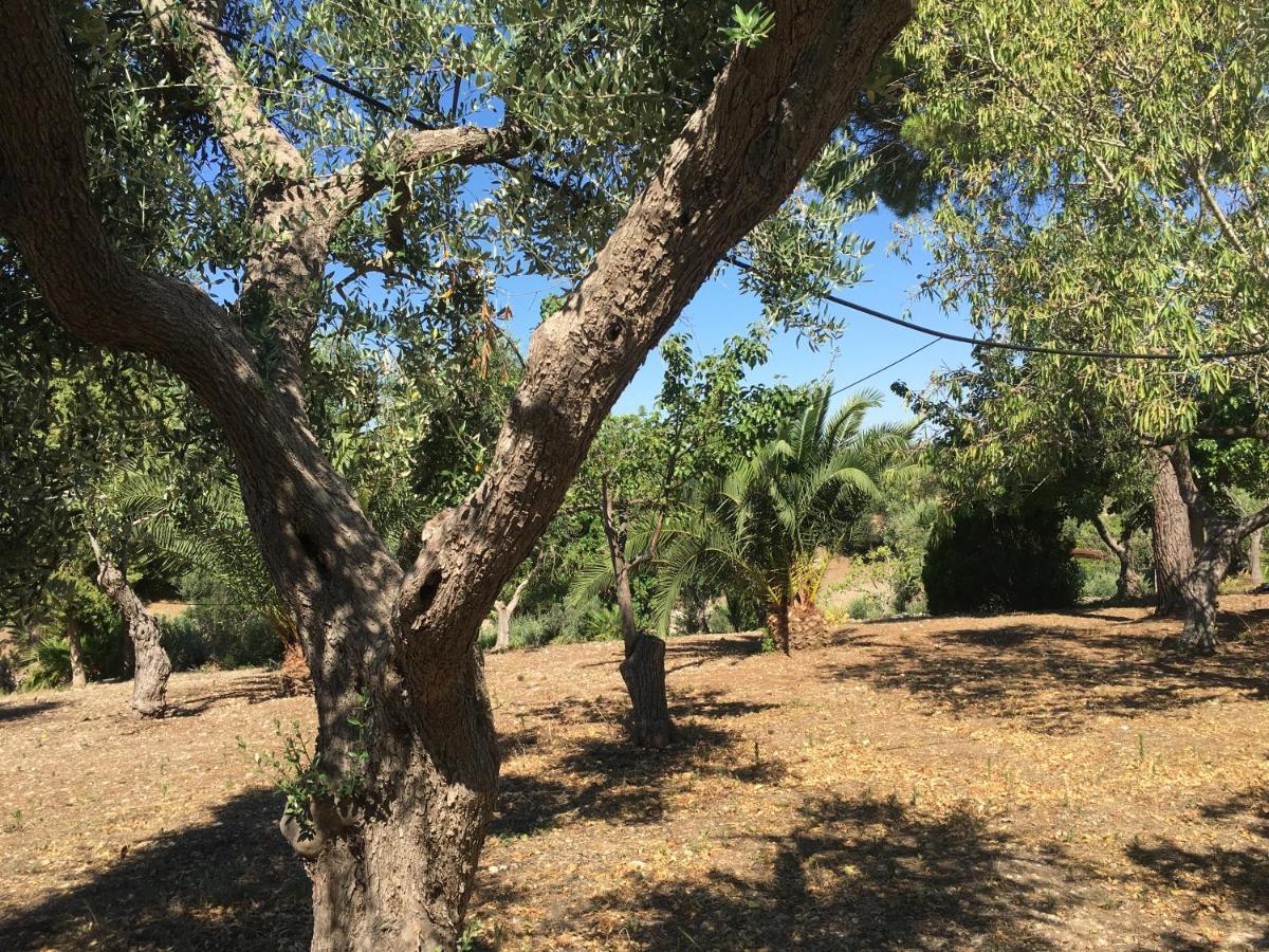 Riserva Ancelle San Pietro in Bevagna Dış mekan fotoğraf